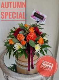autumn special